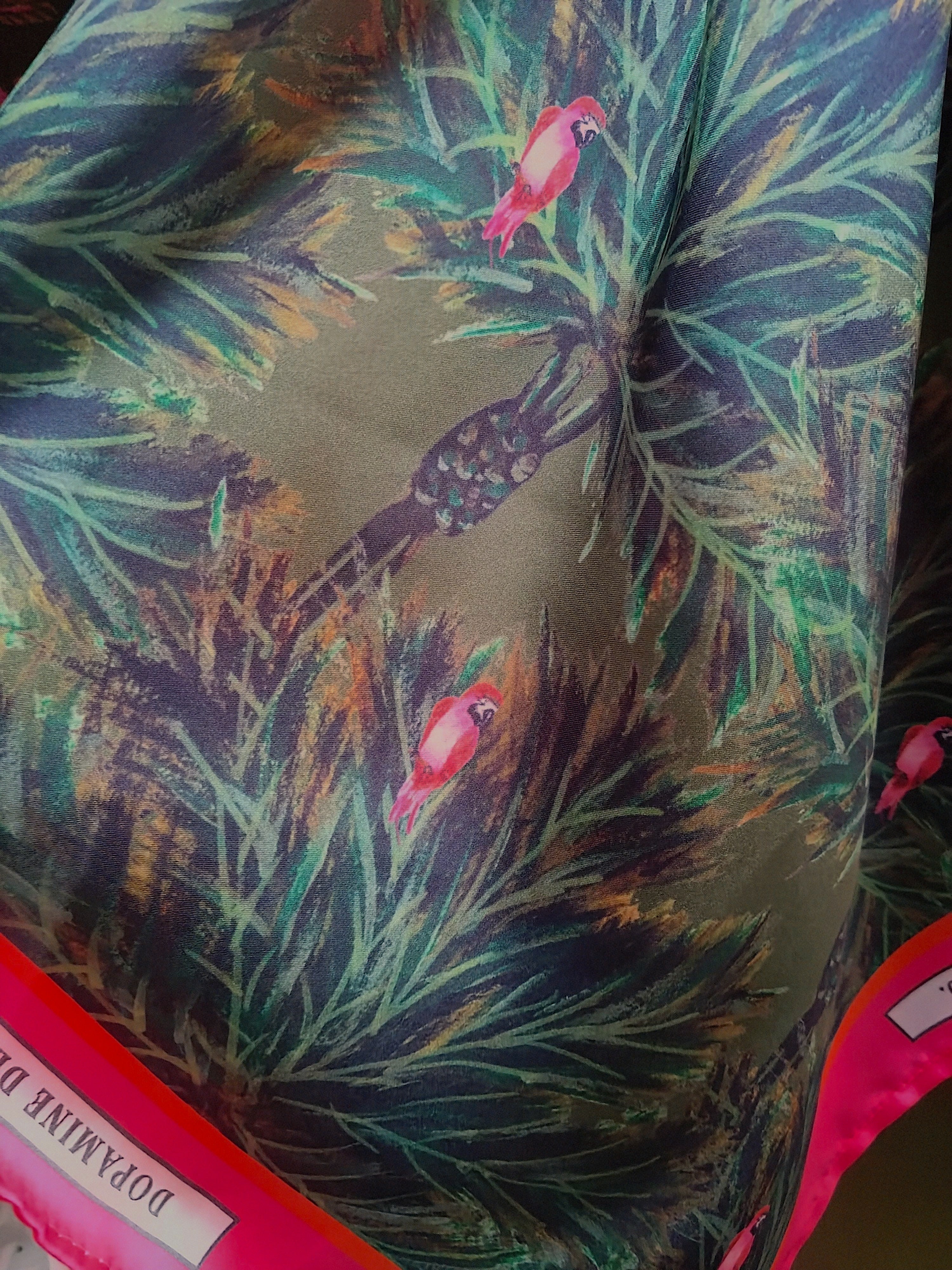 Parrot Palm